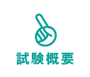 試験概要