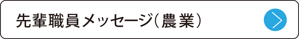 先輩職員メッセージ（農業）