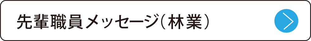 先輩職員メッセージ（林業）